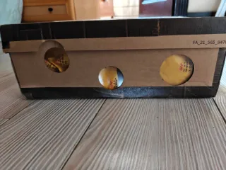 Nike x Off White Dunk Low