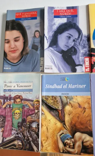 Lote libros juveniles en catalán