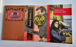Lote libros juveniles en catalán