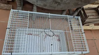Jaula grande diferentes usos