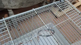 Jaula grande diferentes usos