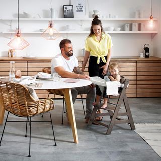 hauck Alpha Tray Bandeja Trona para Alpha Plus