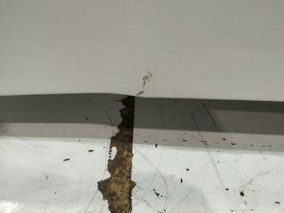 Capot subaru forester executive 562074