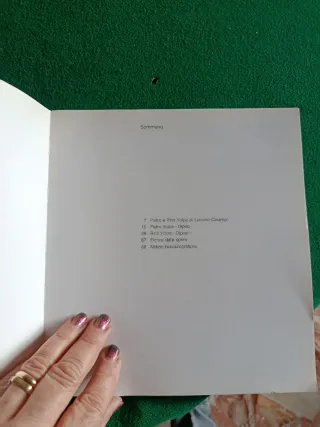 Libro Rino e Pietro Volpe, 1985