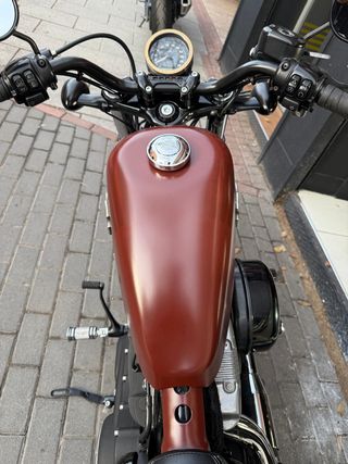 Harley Davidson Forty Eight Marrón Manual