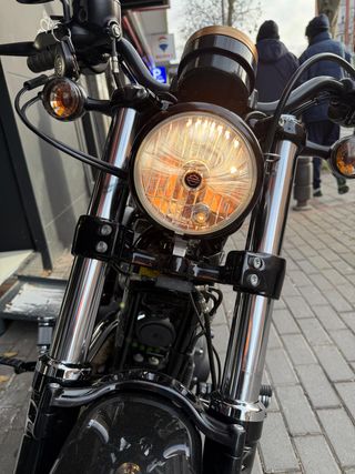 Harley Davidson Forty Eight Marrón Manual