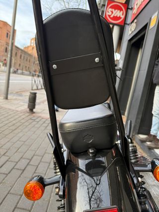 Harley Davidson Forty Eight Marrón Manual