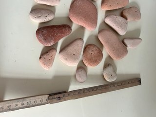 Terracotte di mare - lotto 36