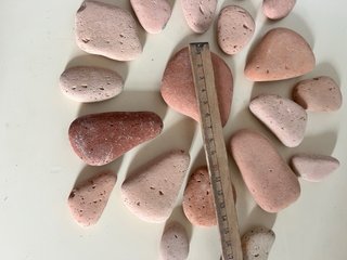 Terracotte di mare - lotto 36