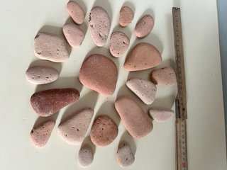 Terracotte di mare - lotto 36