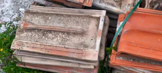 Teja Alicantina Plana Roja - 0,20€/unidad