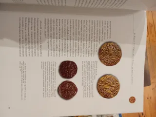 El Blasón Heráldico los Reinos de Castilla y León