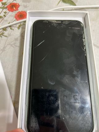 iPhone 11 Verde Agua