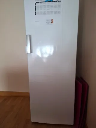 Congelador vertical blanco