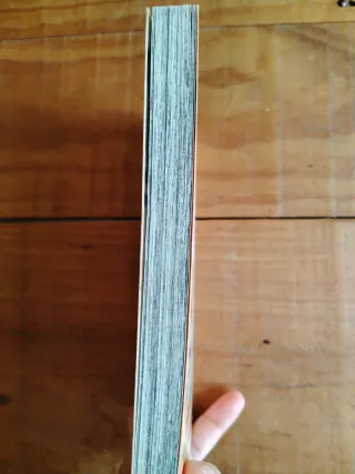 MM One Piece nº 01 1,95