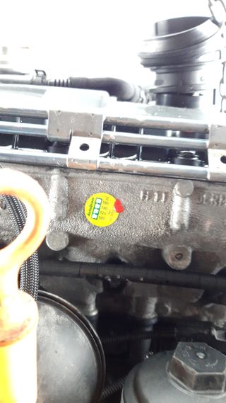 MOTOR COMPLETO SEAT IBIZA (6L1) 783244