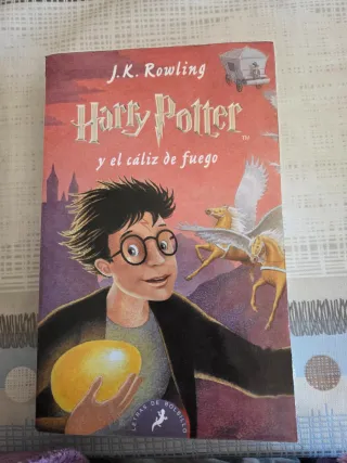 Harry Potter y la piedra filosofal (Harry Potte...