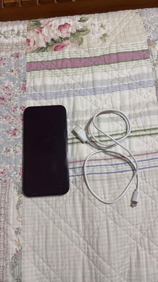 iPhone 13 Pro Gris + Cable