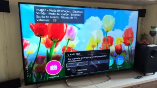 Televisor Panasonic 65". Modelo TX-65FX623E