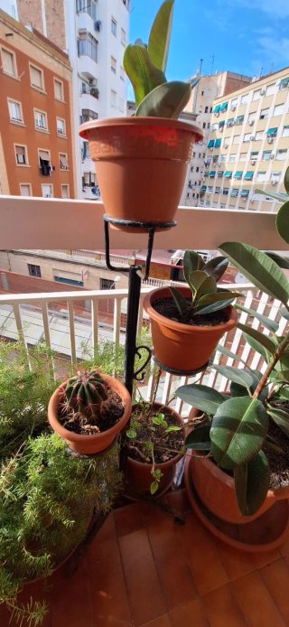 Macetero de hierro forjado