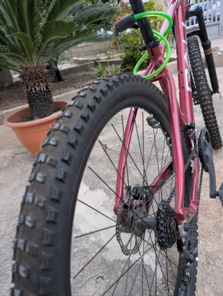 Bicicleta MTB con frenos de disco y candado