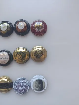 Lote 15 chapas de cava