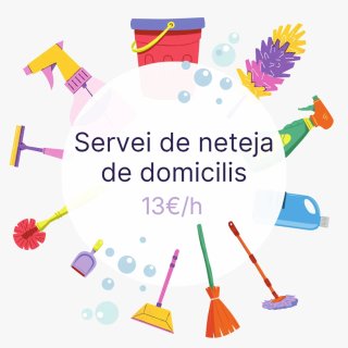 Neteja - Limpieza Actualment sense disponibilitat