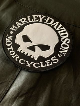 Toppa Patch Harley Davidson Teschio