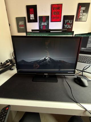 Monitor Philips 24 pulgadas HD 100Hz