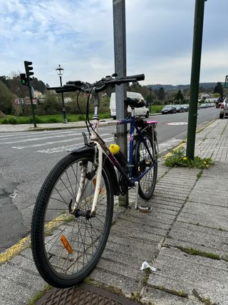 Bicicleta de paseo