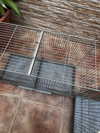Jaulas de cría para aves