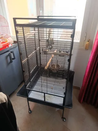 Jaula Grande para Loros Negra