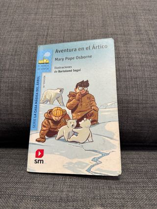 Aventura en el Ártico