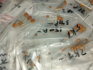 Lote Componentes Electrónicos Varios resistencias