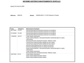 Opel Grandland X Selective