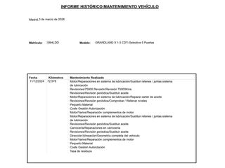 Opel Grandland X Selective