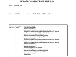 Opel Grandland X Selective