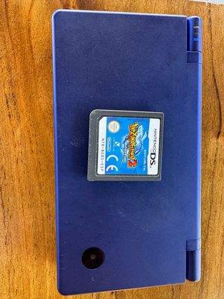 Nintendo dsi