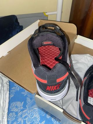 Zapatillas Nike Paul Rodriguez Zoom Air Low 40