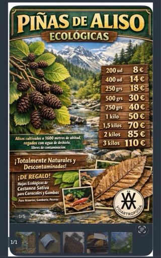 Medio kilo de piñas de aliso ecológicas