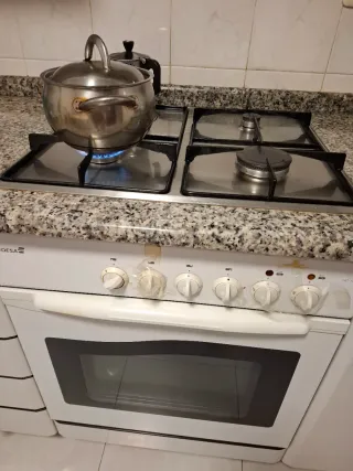 Cocina de gas con horno