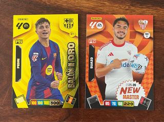 Lote cartas Panini Adrenalyn XL