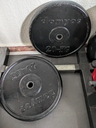 2 Discos Mancuernas Domyos 20 kg