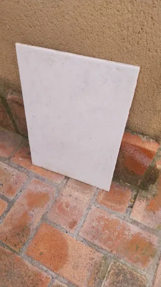 5 Azulejos Blancos.