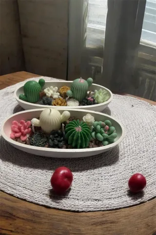 Candele Cactus Deserto