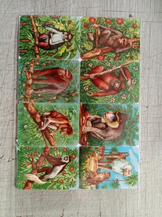 Láminas Cromos Troquelados Kruguer