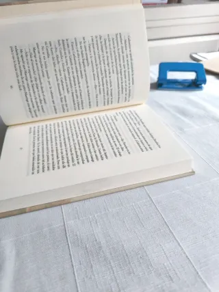 La joven de la perla - Tracy Chevalier