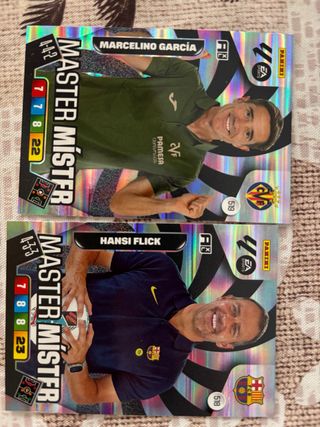 Adrenalyn XL 25-26 Master Mister