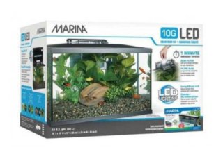Acuario 36L con accesorios