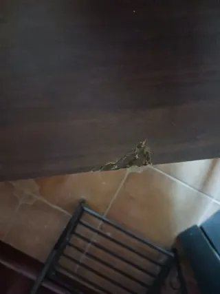 Mueble TV madera marrón